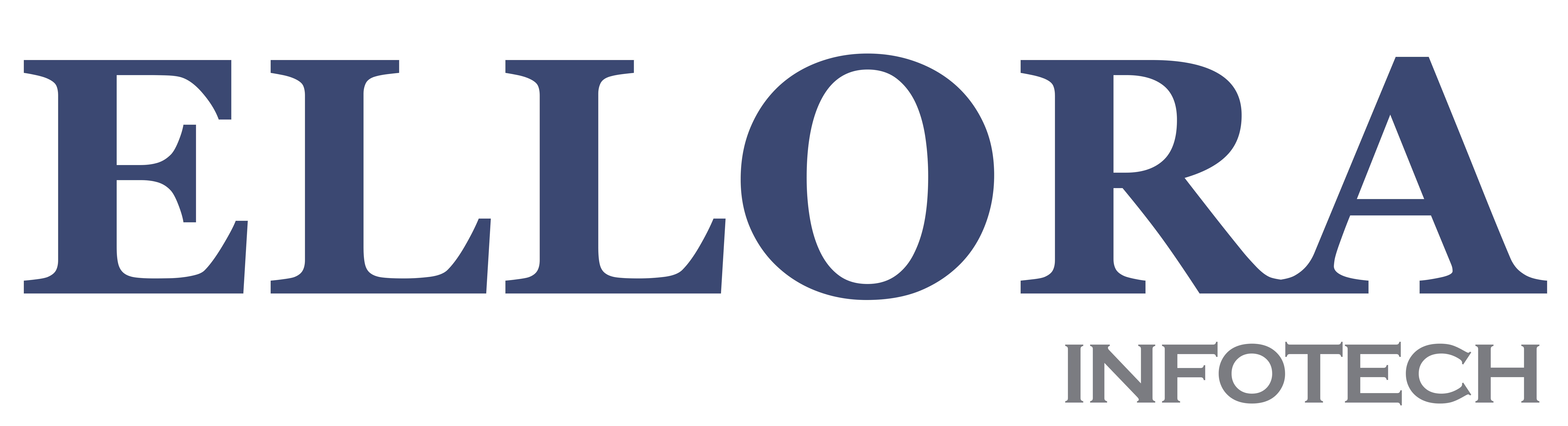Ellora Infotech Pvt Ltd